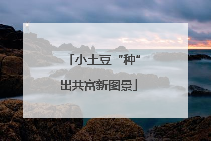 小土豆“种”出共富新图景