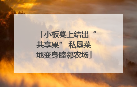 小板凳上结出“共享果” 私垦菜地变身睦邻农场