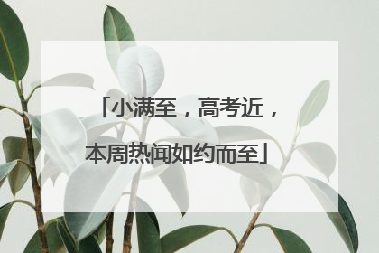 小满至，高考近，本周热闻如约而至