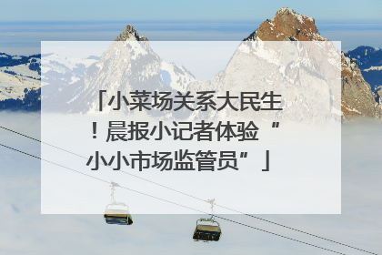 小菜场关系大民生！晨报小记者体验“小小市场监管员”