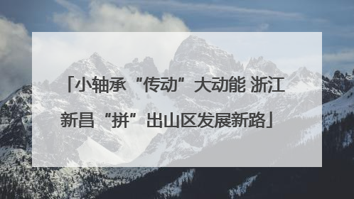 小轴承“传动”大动能 浙江新昌“拼”出山区发展新路