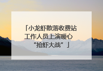 小龙虾散落收费站 工作人员上演暖心“抢虾大战”