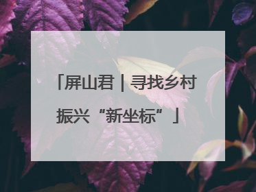 屏山君｜寻找乡村振兴“新坐标”