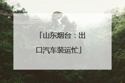 山东烟台：出口汽车装运忙