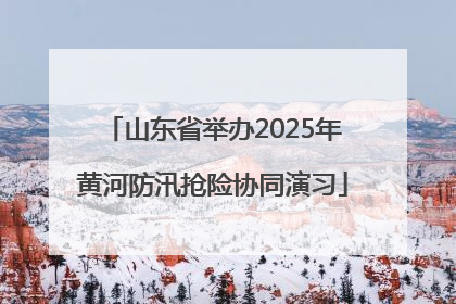 山东省举办2025年黄河防汛抢险协同演习