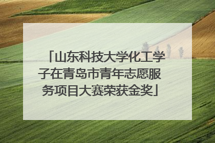 山东科技大学化工学子在青岛市青年志愿服务项目大赛荣获金奖