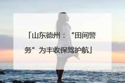 山东德州：“田间警务”为丰收保驾护航