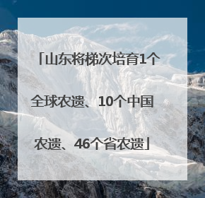 山东将梯次培育1个全球农遗、10个中国农遗、46个省农遗