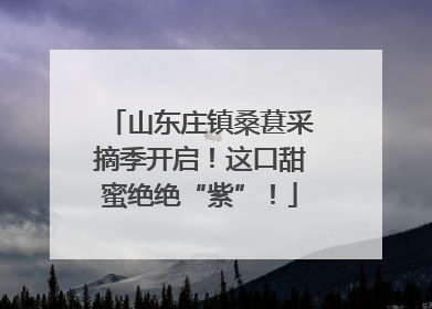 山东庄镇桑葚采摘季开启！这口甜蜜绝绝“紫”！