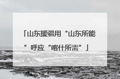 山东援疆用“山东所能”呼应“喀什所需”