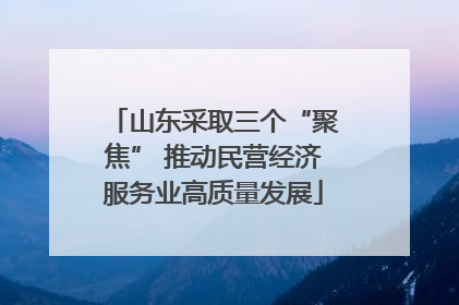山东采取三个“聚焦” 推动民营经济服务业高质量发展