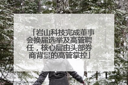 岩山科技完成董事会换届选举及高管聘任，核心层由头部券商背景的高管掌控