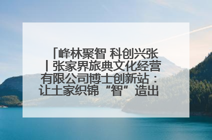 峰林聚智 科创兴张丨张家界旅典文化经营有限公司博士创新站：让土家织锦“智”造出非遗新传奇