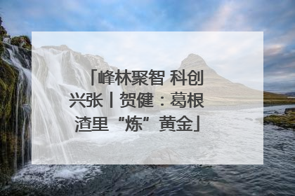 峰林聚智 科创兴张丨贺健：葛根渣里“炼”黄金