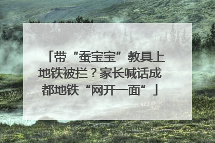 带“蚕宝宝”教具上地铁被拦？家长喊话成都地铁“网开一面”