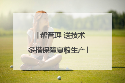 帮管理 送技术 多措保障夏粮生产