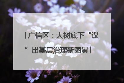 广信区：大树底下“议”出基层治理新图景