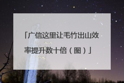 广信这里让毛竹出山效率提升数十倍（图）