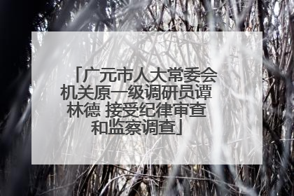 广元市人大常委会机关原一级调研员谭林德 接受纪律审查和监察调查