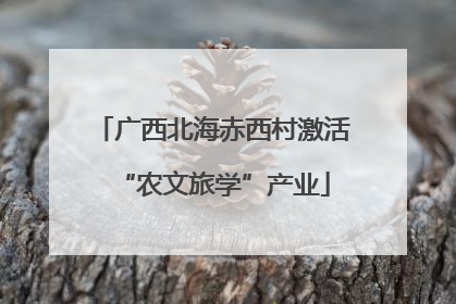 广西北海赤西村激活“农文旅学”产业