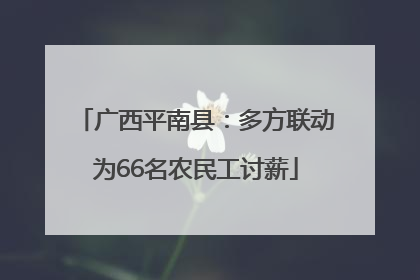 广西平南县：多方联动为66名农民工讨薪