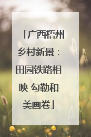 广西梧州乡村新景：田园铁路相映 勾勒和美画卷