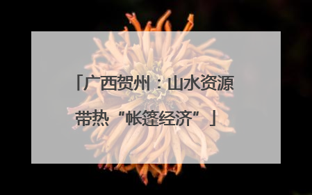 广西贺州：山水资源带热“帐篷经济”