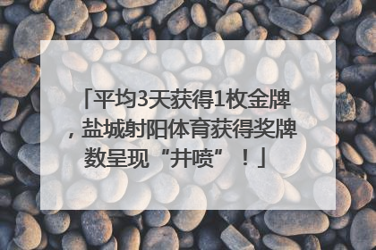 平均3天获得1枚金牌，盐城射阳体育获得奖牌数呈现“井喷”！