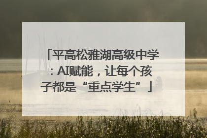 平高松雅湖高级中学：AI赋能，让每个孩子都是“重点学生”