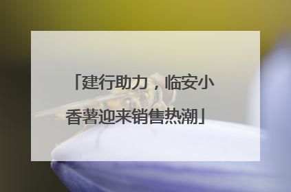 建行助力，临安小香薯迎来销售热潮