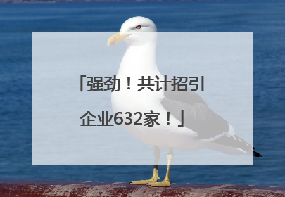 强劲！共计招引企业632家！