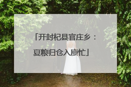 开封杞县官庄乡：夏粮归仓入廪忙