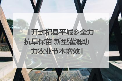 开封杞县平城乡全力抗旱保苗 新型灌溉助力农业节本增效