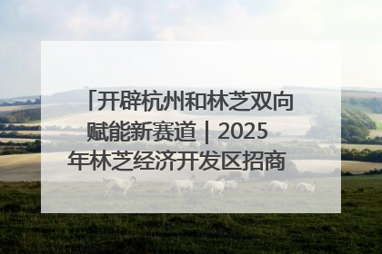 开辟杭州和林芝双向赋能新赛道｜2025年林芝经济开发区招商引资（杭州）推介展销活动在杭举办