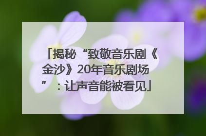 揭秘“致敬音乐剧《金沙》20年音乐剧场”：让声音能被看见