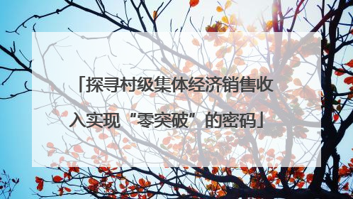 探寻村级集体经济销售收入实现“零突破”的密码