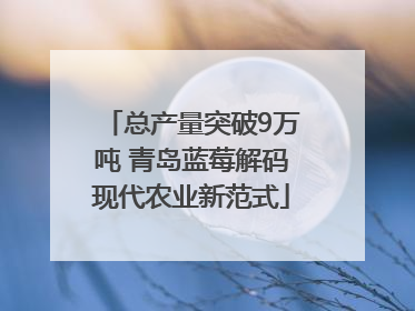 总产量突破9万吨 青岛蓝莓解码现代农业新范式