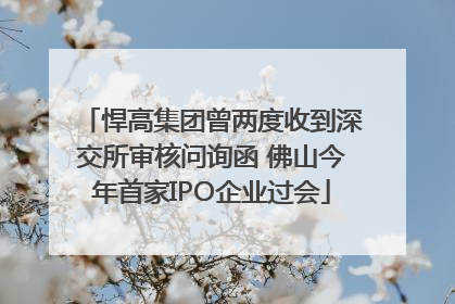 悍高集团曾两度收到深交所审核问询函 佛山今年首家IPO企业过会