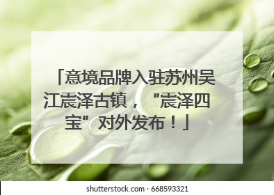 意境品牌入驻苏州吴江震泽古镇，“震泽四宝”对外发布！
