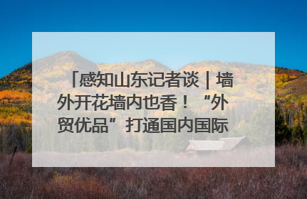 感知山东记者谈｜墙外开花墙内也香！“外贸优品”打通国内国际市场“旋转门”