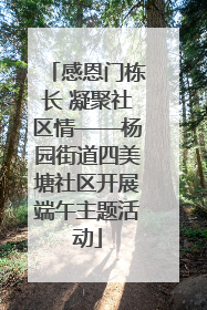 感恩门栋长 凝聚社区情——杨园街道四美塘社区开展端午主题活动