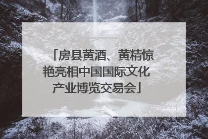 房县黄酒、黄精惊艳亮相中国国际文化产业博览交易会