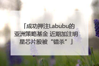 成功押注Labubu的亚洲策略基金 近期加注明星芯片股被“错杀”