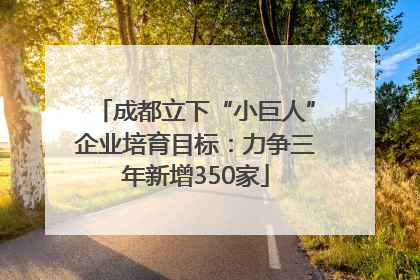 成都立下“小巨人”企业培育目标：力争三年新增350家