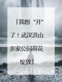 我想“开”了！武汉洪山多家公园荷花绽放