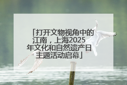 打开文物视角中的江南，上海2025年文化和自然遗产日主题活动启幕