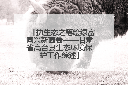执生态之笔绘绿富同兴新画卷——甘肃省高台县生态环境保护工作综述