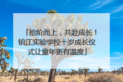 拾阶而上，共赴成长！镇江实验学校十岁成长仪式让童年更有温度