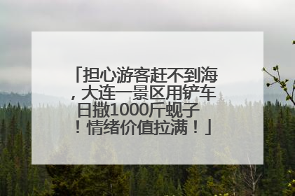 担心游客赶不到海，大连一景区用铲车日撒1000斤蚬子！情绪价值拉满！