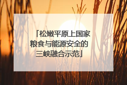 松嫩平原上国家粮食与能源安全的三峡融合示范